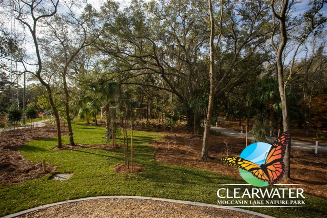 nature, trees and grass with the city of Clearwater logo and butterfly