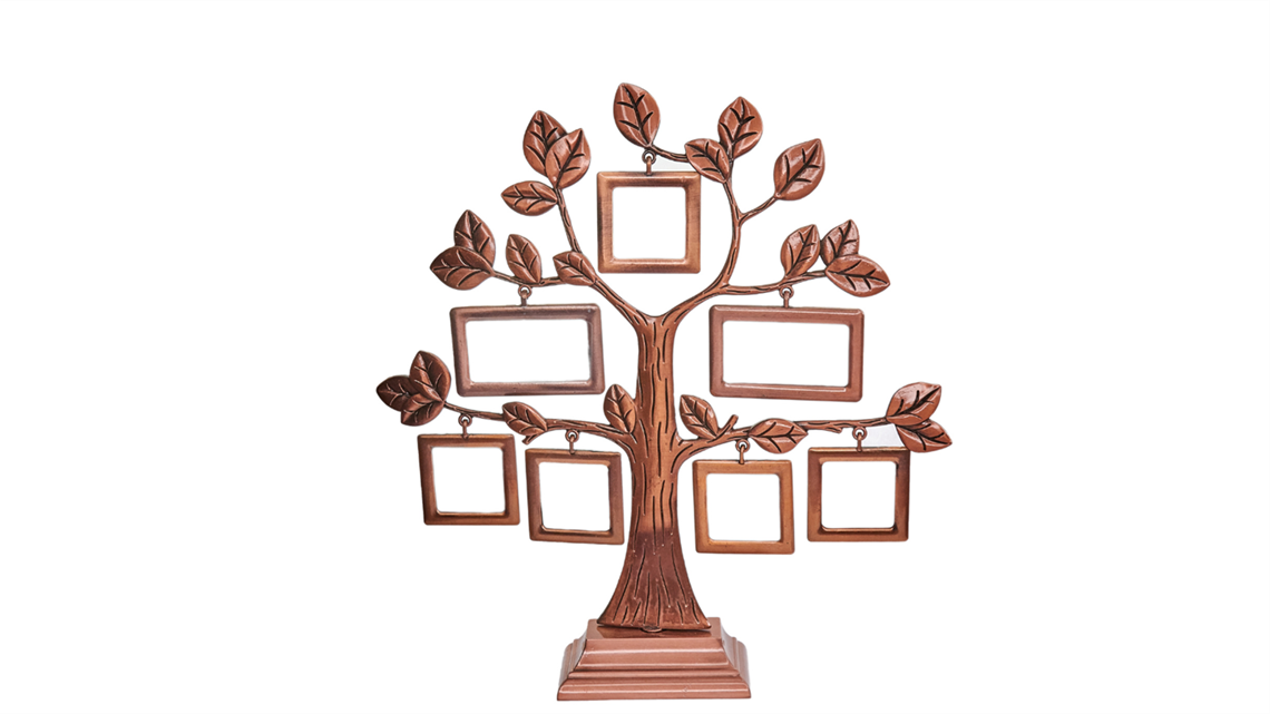 family tree