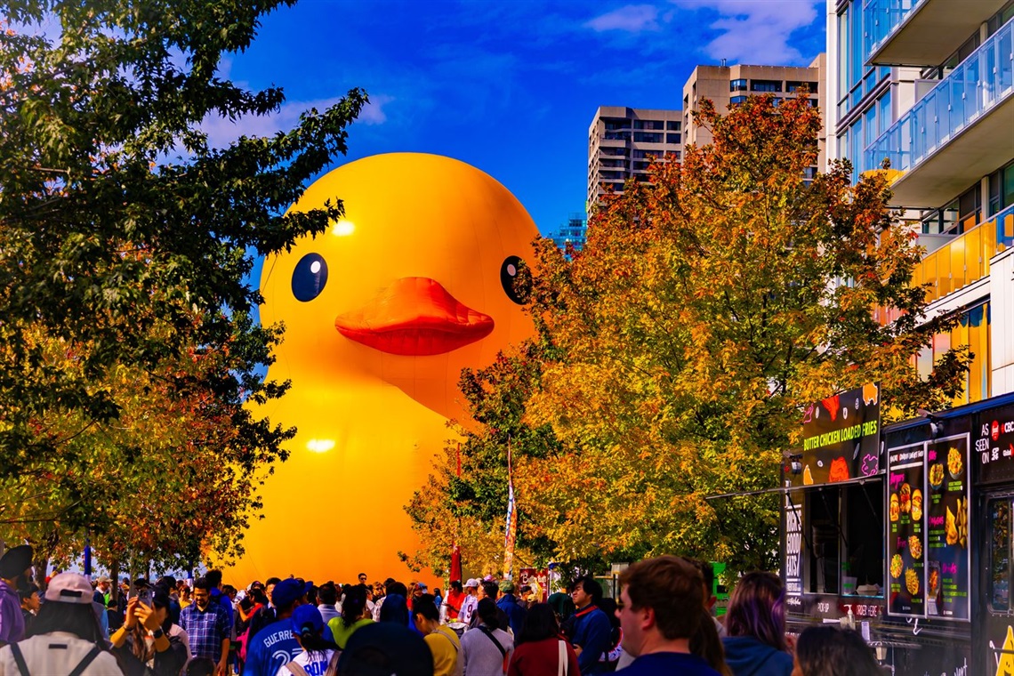 largest rubber duck in a crowd