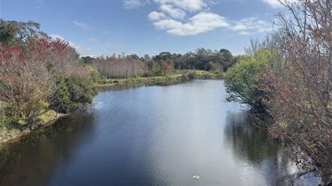 Kapok-Park-Jan.-2023-4.jpg