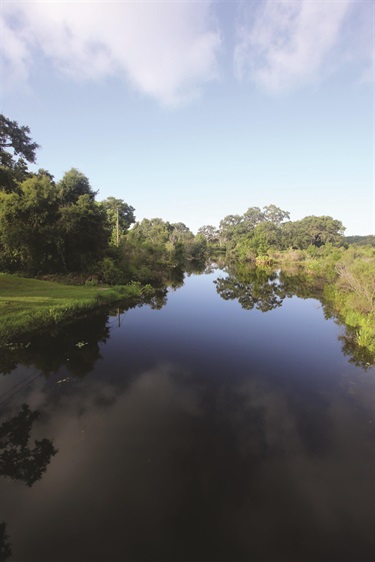 Kapok-Park-water.jpg