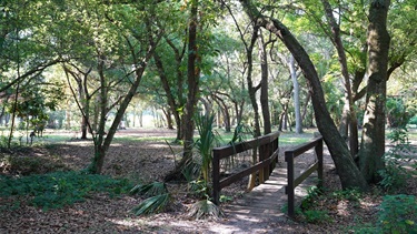 Northeast Coachman Park