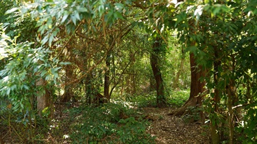 Cypress Point Park