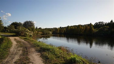 Kapok Park