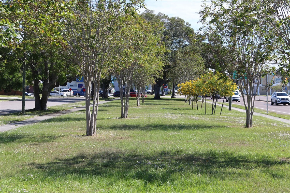 Plaza Park