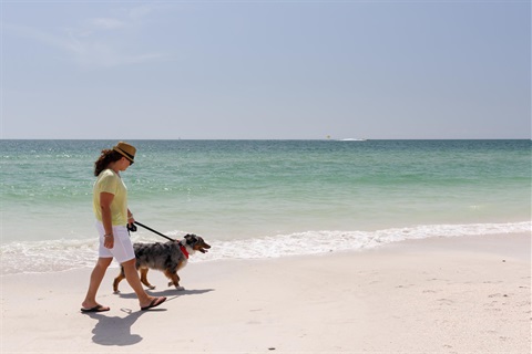 Person with dog on the beach
