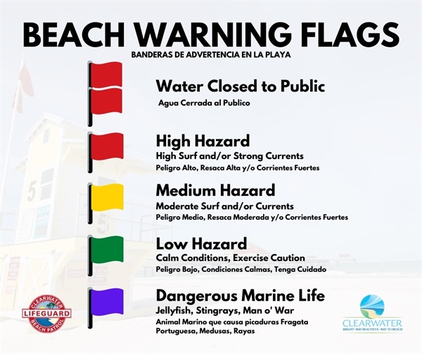 Beach Warning Flags infographic 