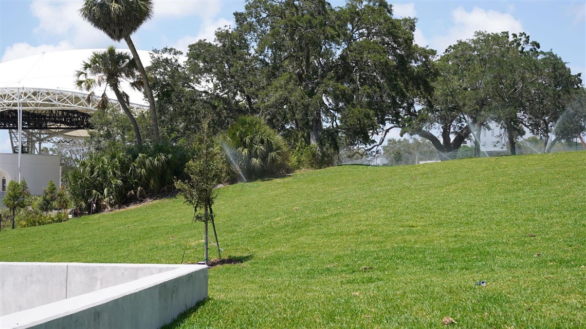 Coachman Park bluff with green space