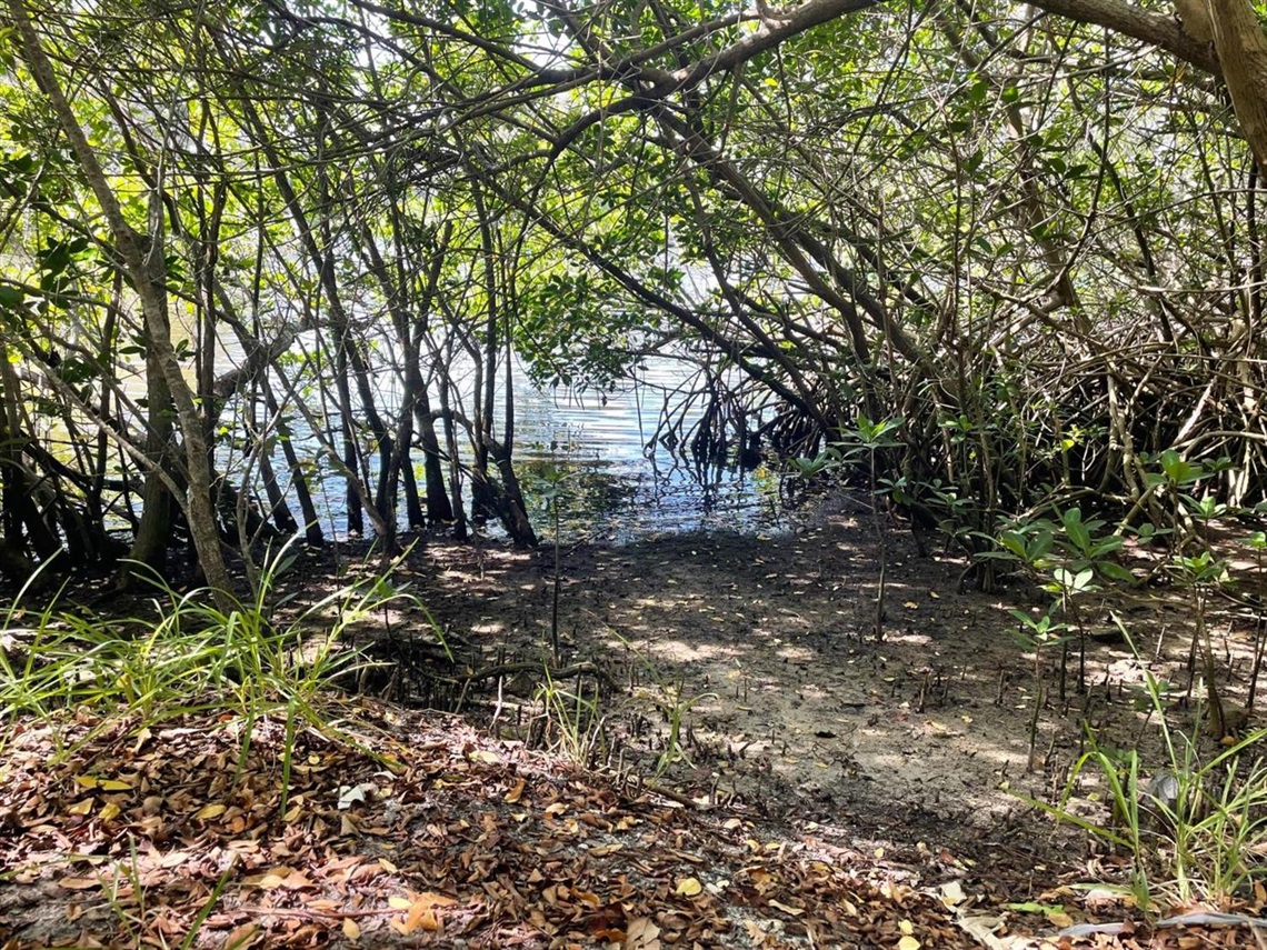 Overbrooke Park