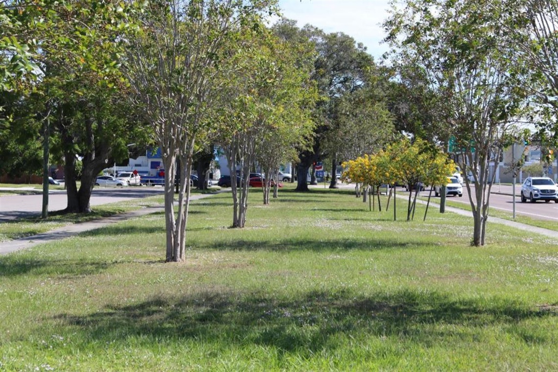 Plaza Park